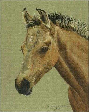 'Morgan Colt'  -  Sold