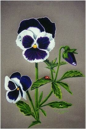 'Pansy and Friend'